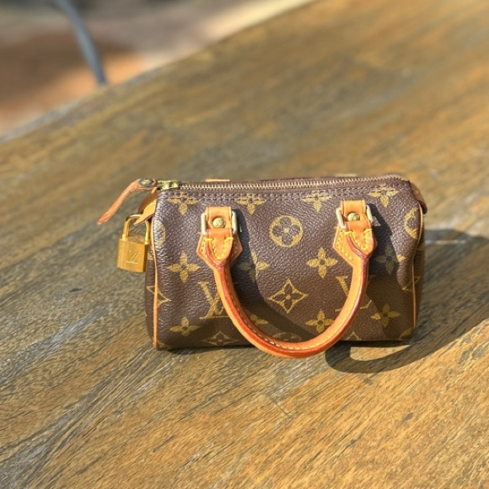 Louis Vuitton Brown Leather Handbag